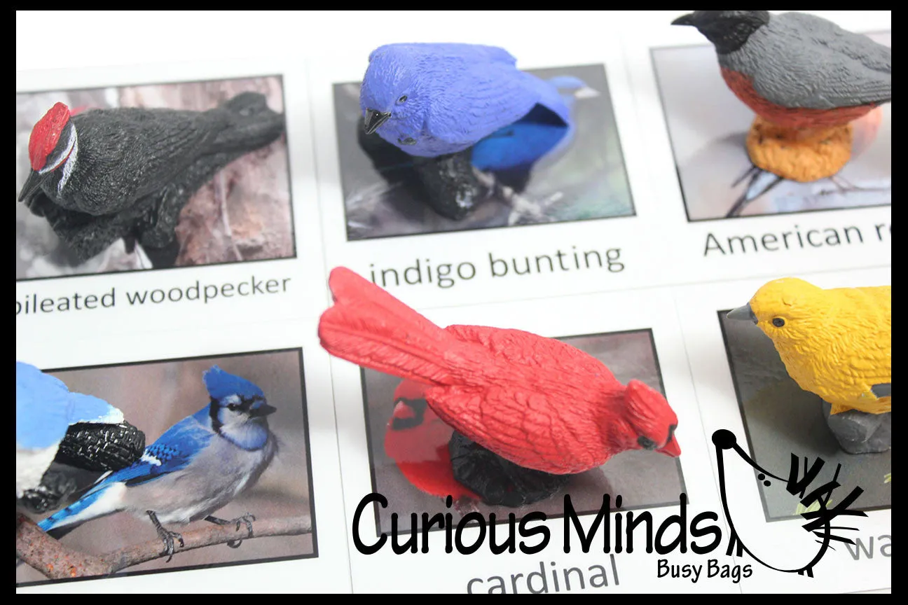 Animal Match - BIRD - Miniature Animals with Matching Cards - 2 Part Cards.  Montessori learning toy, language materials