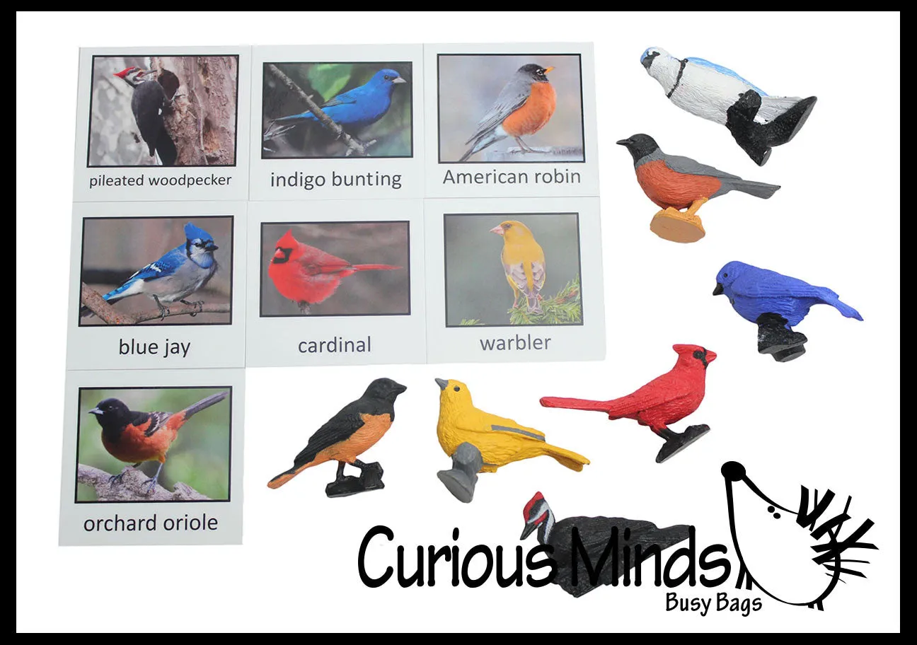 Animal Match - BIRD - Miniature Animals with Matching Cards - 2 Part Cards.  Montessori learning toy, language materials