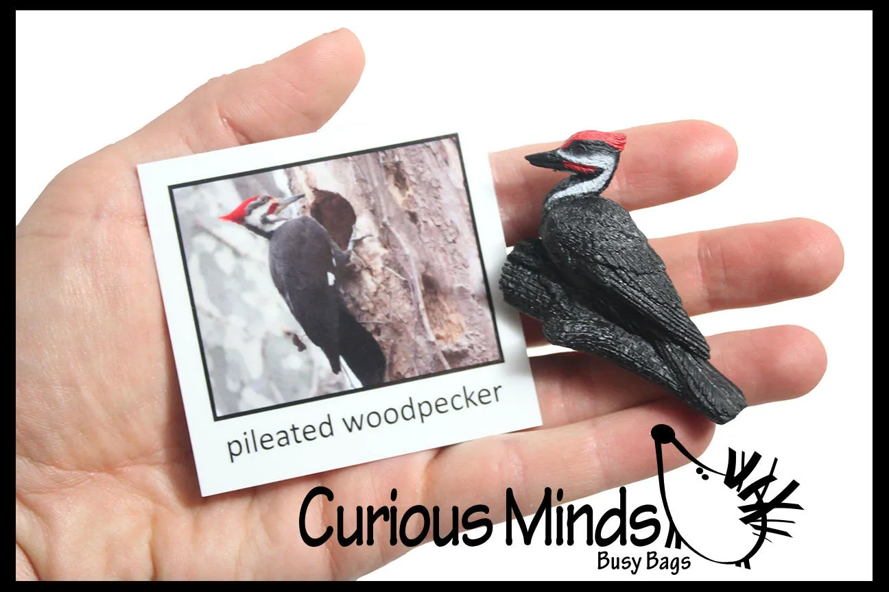 Animal Match - BIRD - Miniature Animals with Matching Cards - 2 Part Cards.  Montessori learning toy, language materials