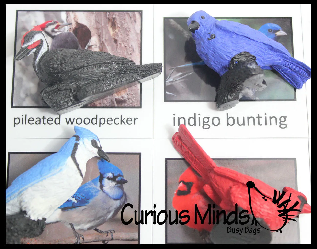 Animal Match - BIRD - Miniature Animals with Matching Cards - 2 Part Cards.  Montessori learning toy, language materials