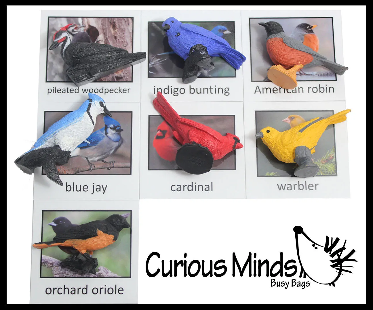 Animal Match - BIRD - Miniature Animals with Matching Cards - 2 Part Cards.  Montessori learning toy, language materials