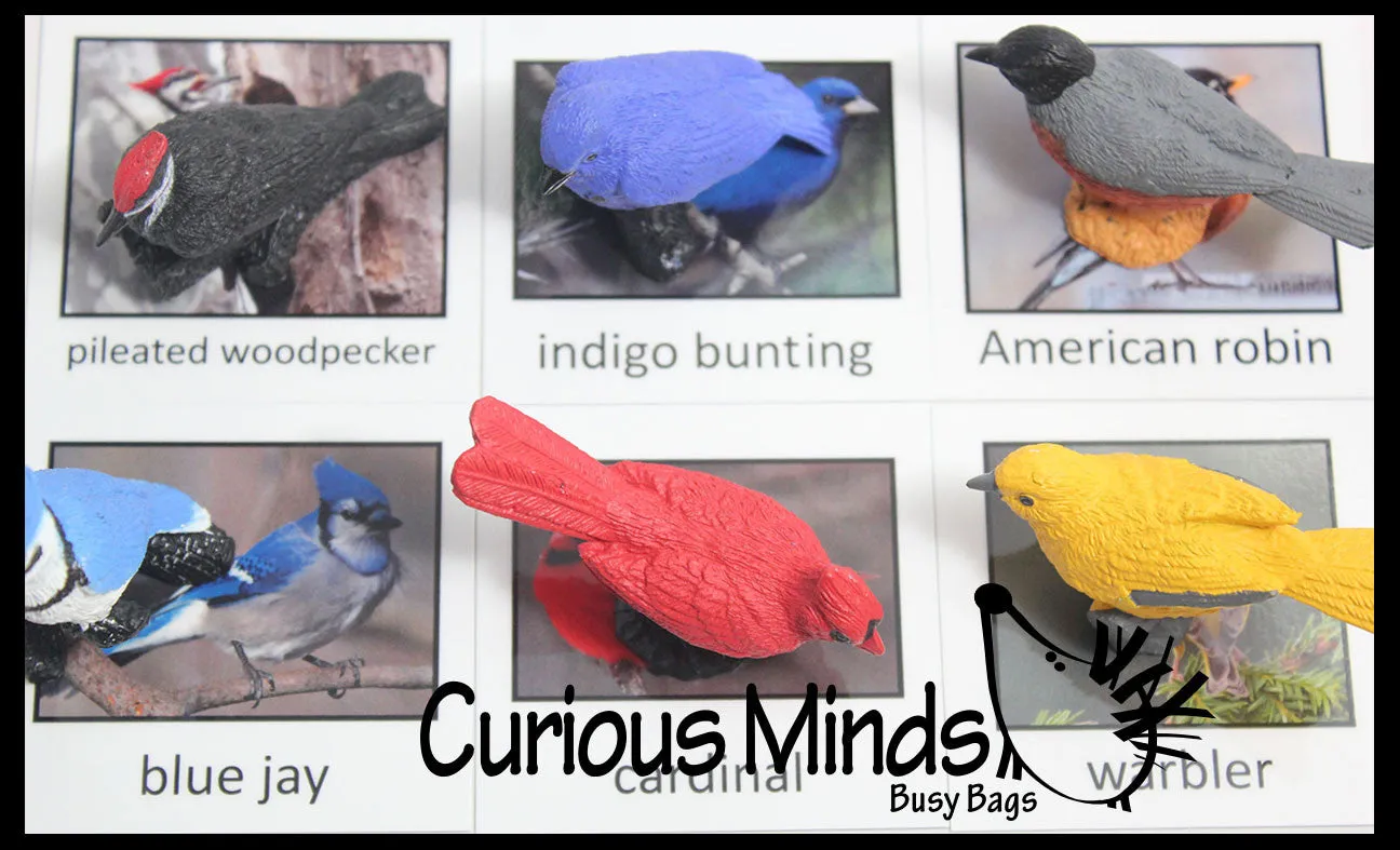 Animal Match - BIRD - Miniature Animals with Matching Cards - 2 Part Cards.  Montessori learning toy, language materials