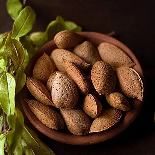 Anna and Sarah Jumbo Raw California Almonds In Shell, 4 Lbs