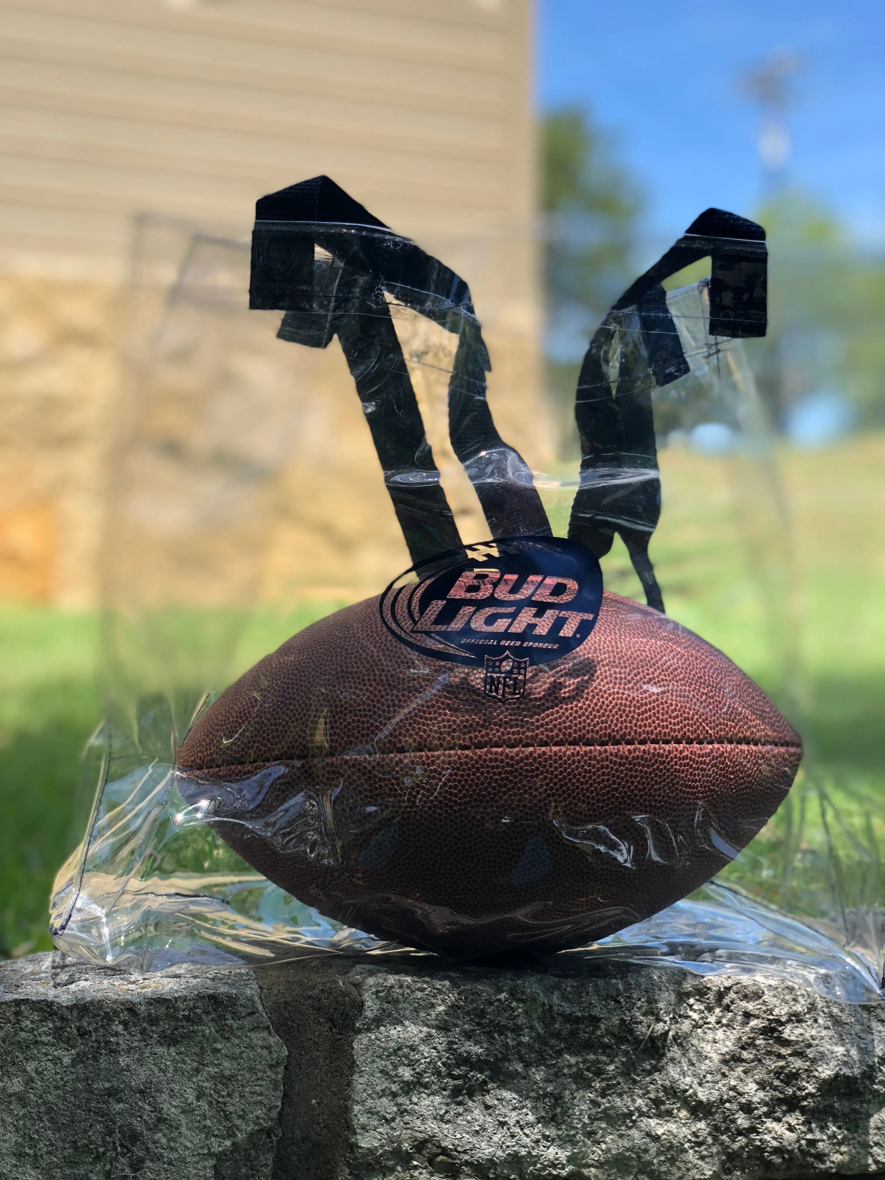 Bud Light Stadium Approved Clear Tote