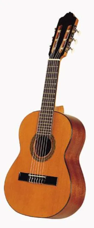 Esteve 3ST63 Guitar