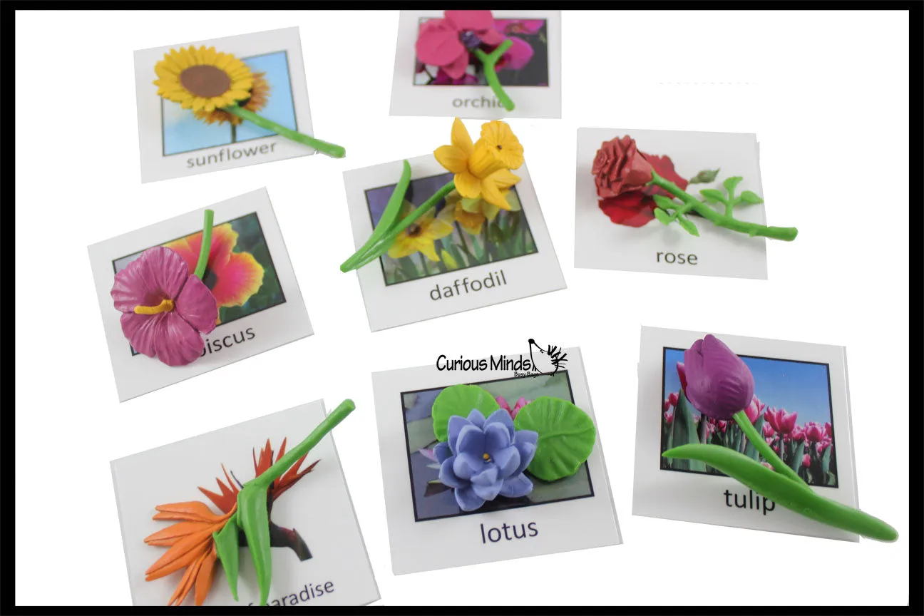 Flowers Montessori Object Match - Miniature flowers with Matching Cards - 2 Part Cards.  Montessori learning toy, Flora, Botanical