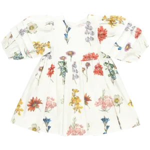 Girls Brooke Dress - Notebook Botanical