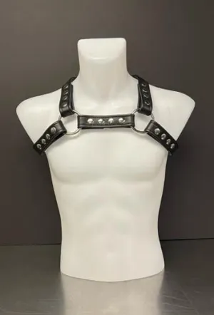 Harness X with Silver Snaps - Medium/Large