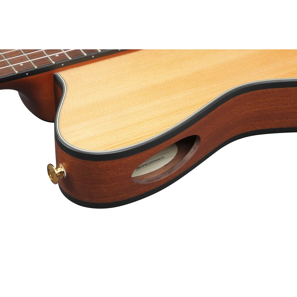 Ibanez FRH10N NTF Nylon String Guitar