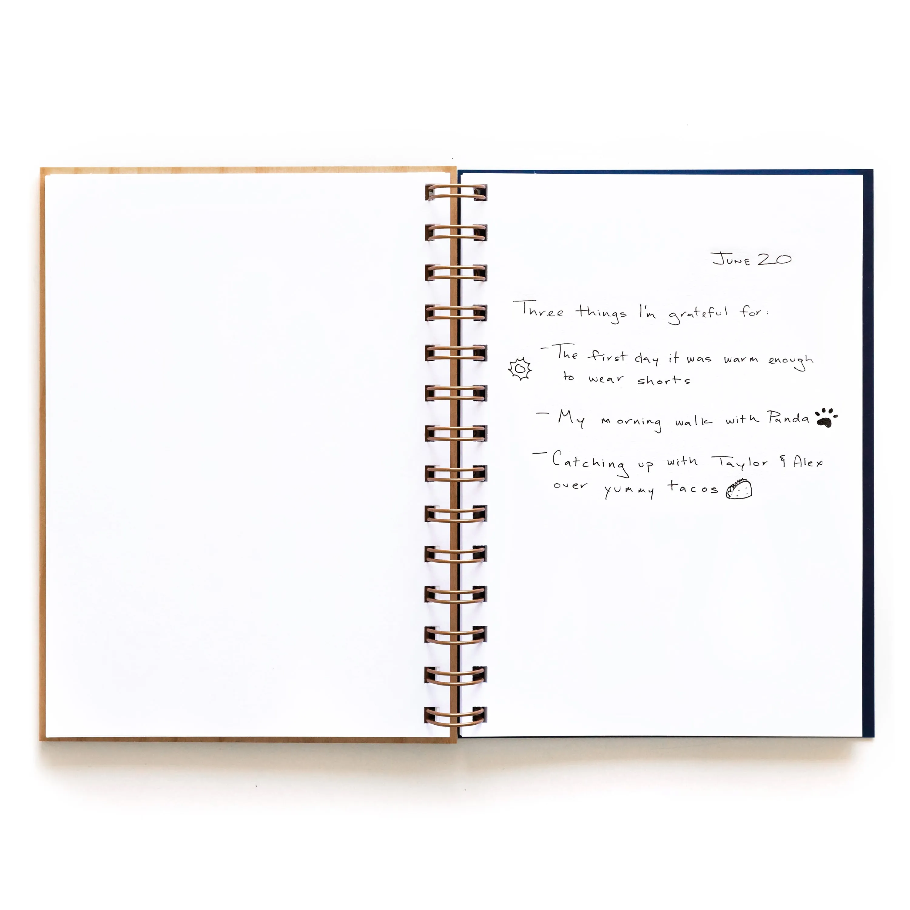 Icelandic Poppies Journal
