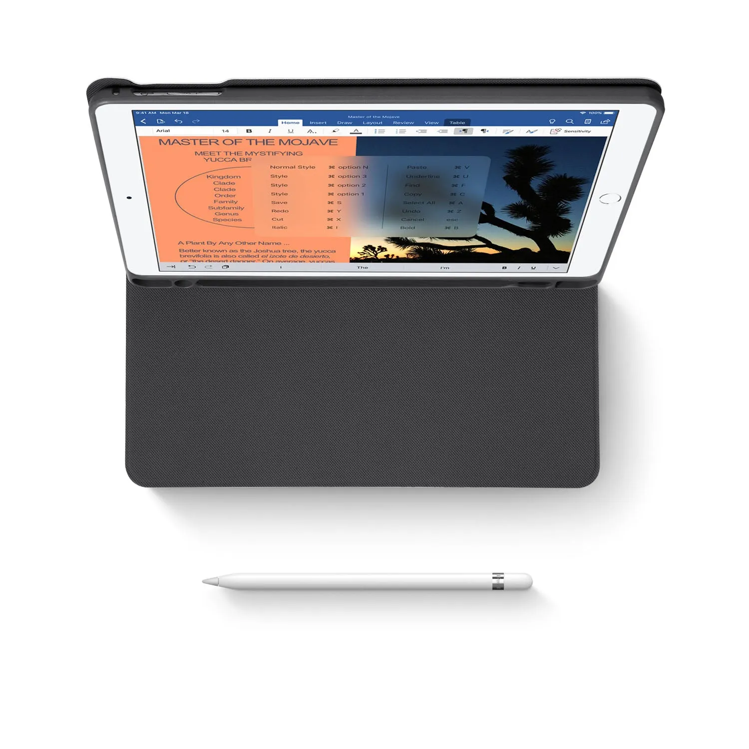 iPad Folio Case - Ocean