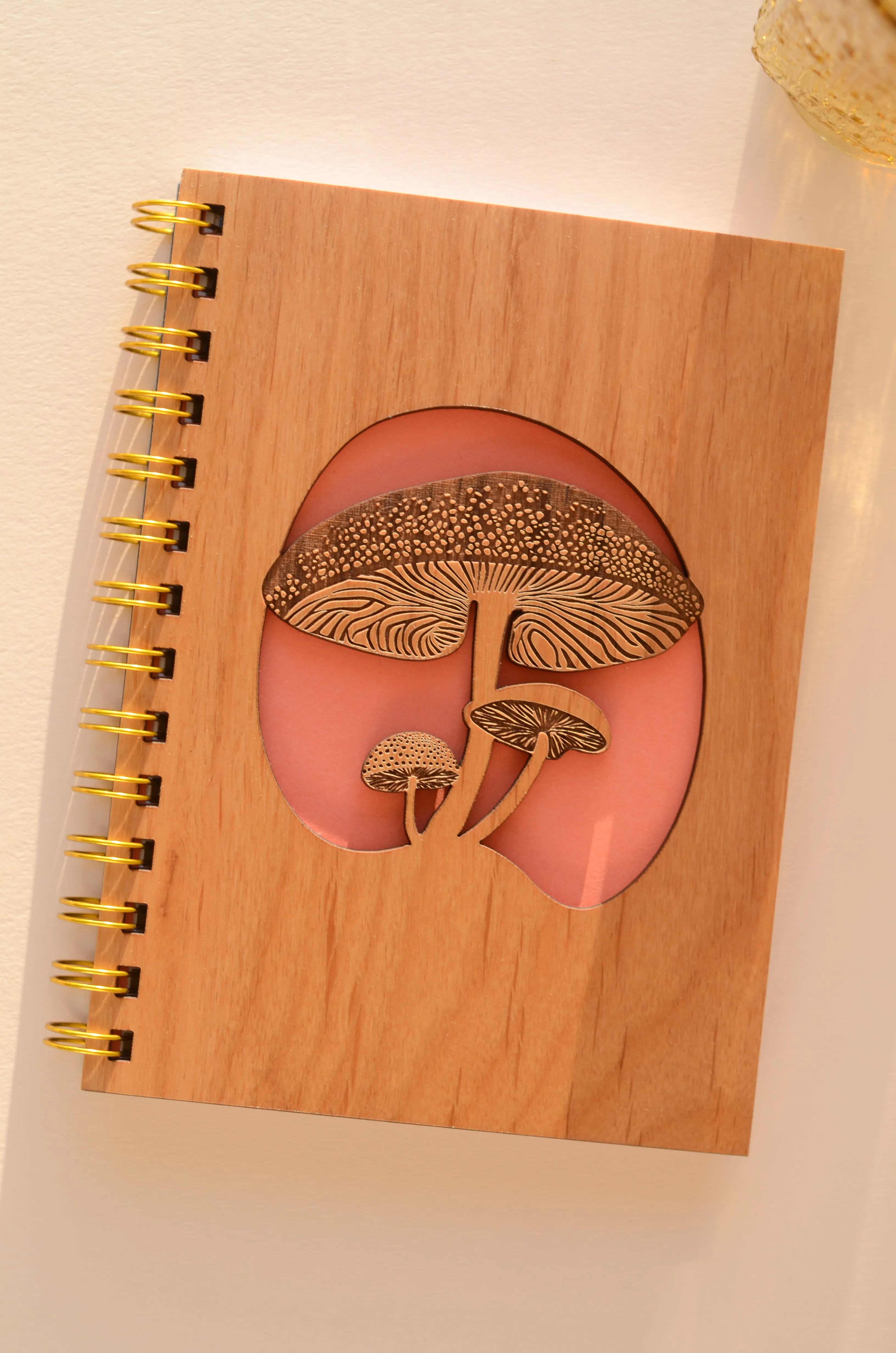 Mushrooms Journal