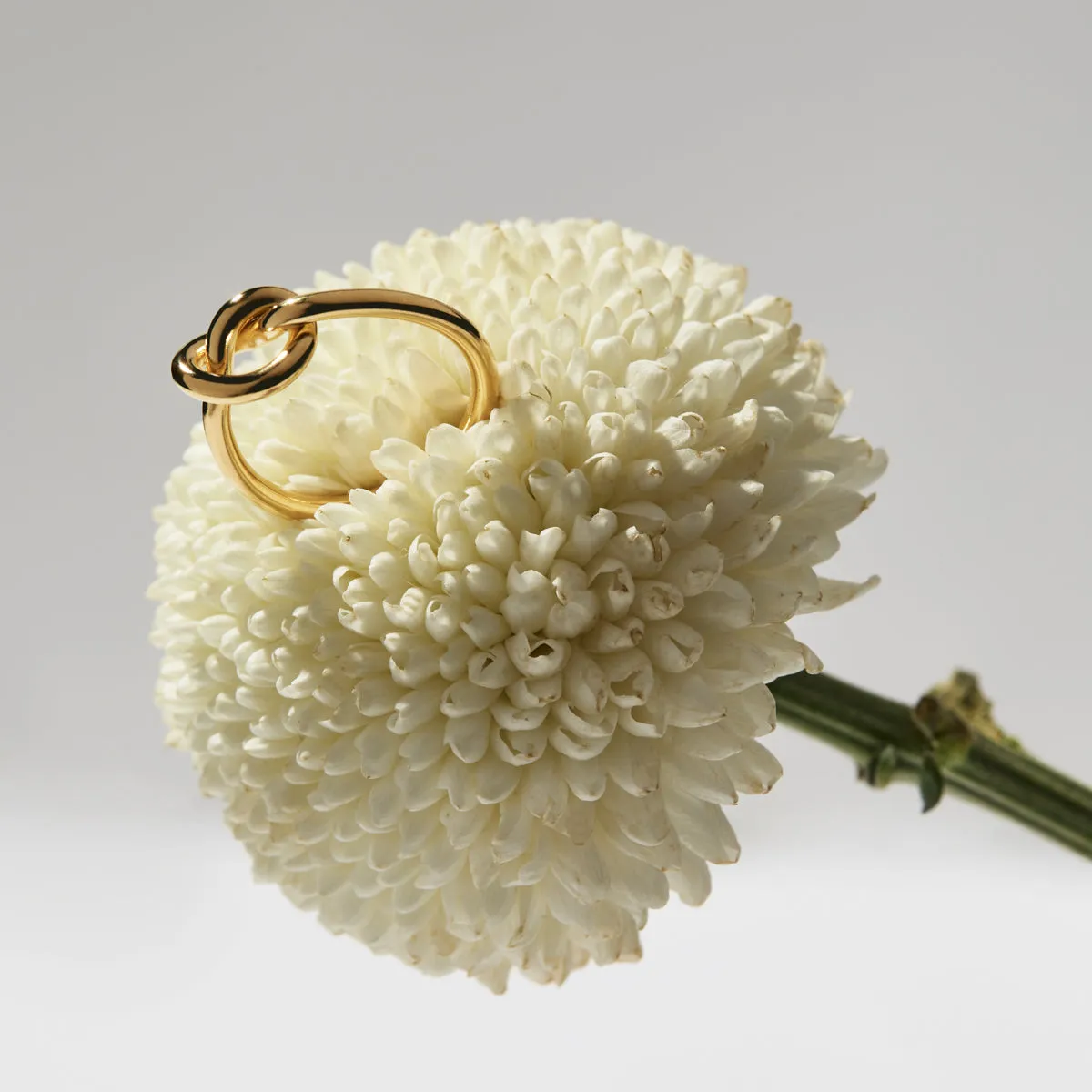 Nature’s Knot Ring