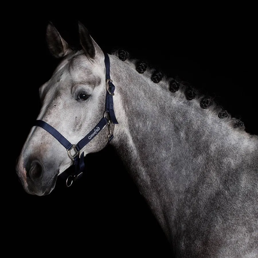 Nylon headcollar