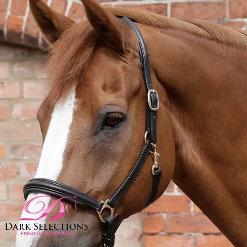 PEI Padded Leather Halter