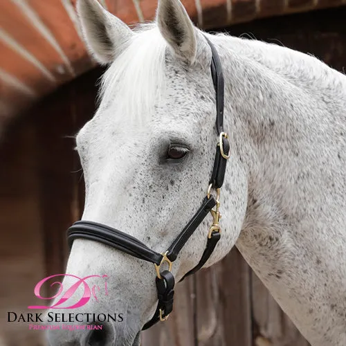 PEI Padded Leather Halter