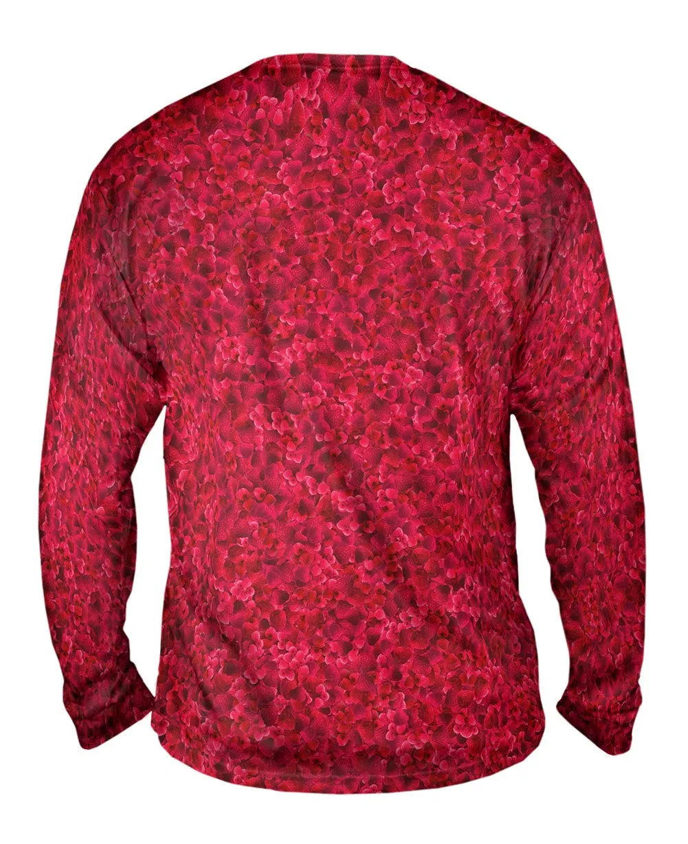 Raspberry Dreams